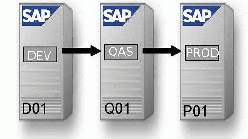 sap-landscape.jpg sap-landscape.jpg